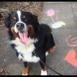 Meet your Posher, Andreww